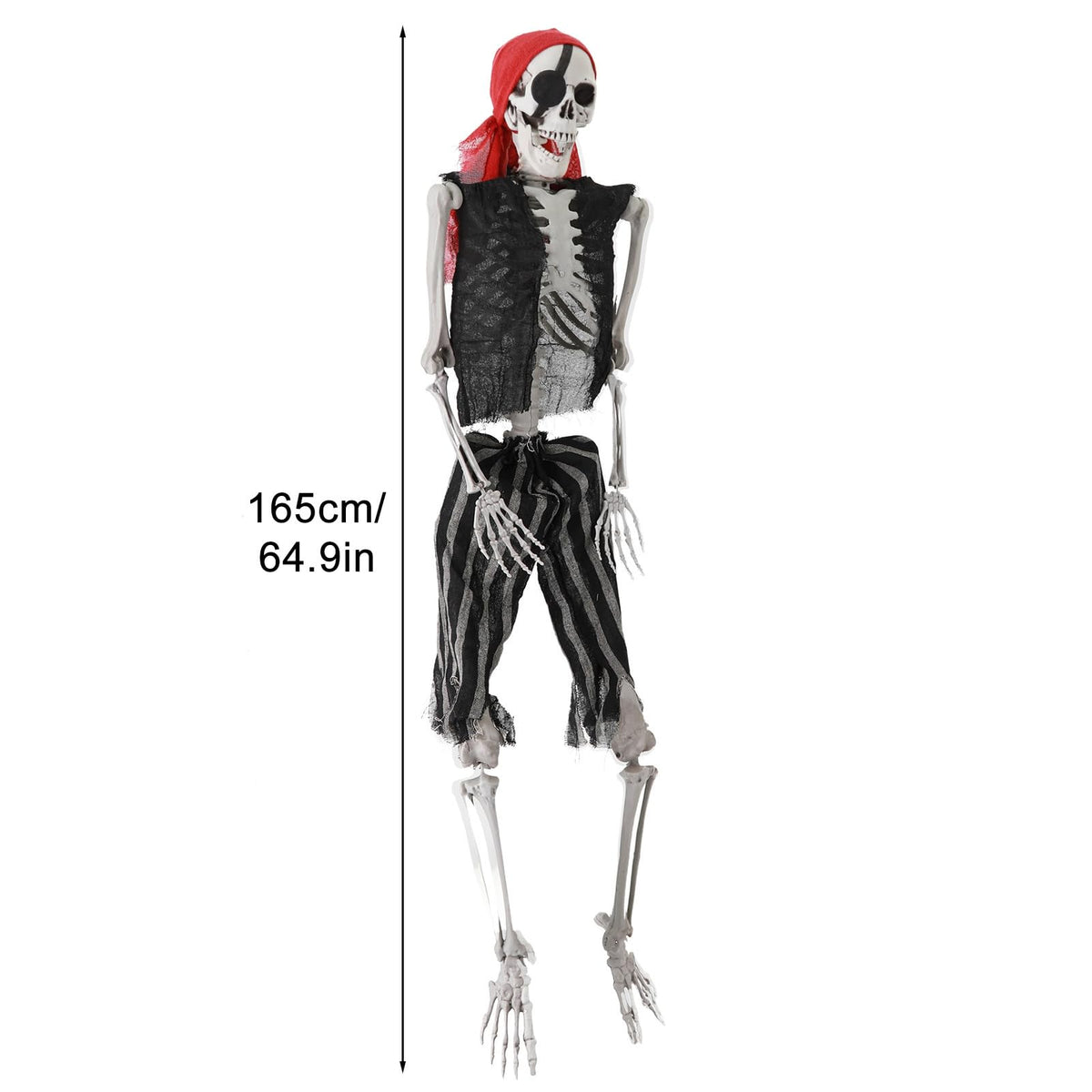 5.4Ft Poseable Skeleton with Movable Joints Q633650