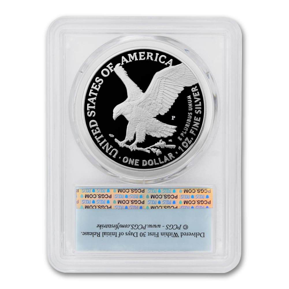 1 oz American Silver Eagle Coin Y9691