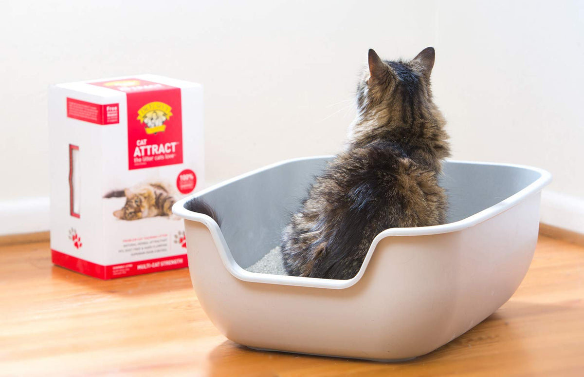 Cat Attract Training Litter 20 Pound A969885