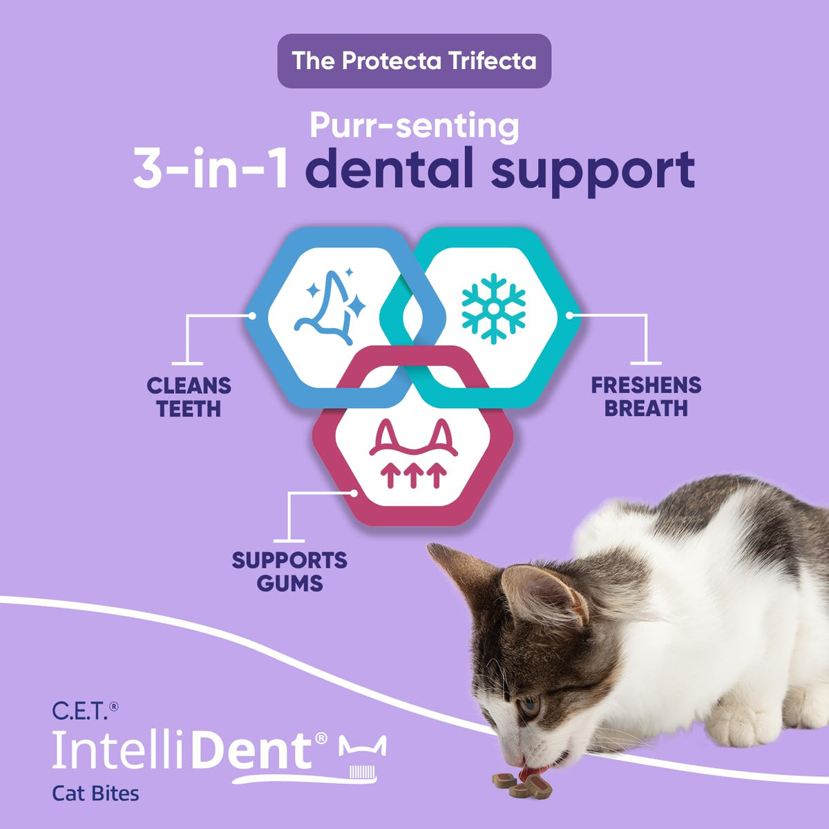 Cat Dental Care I4118