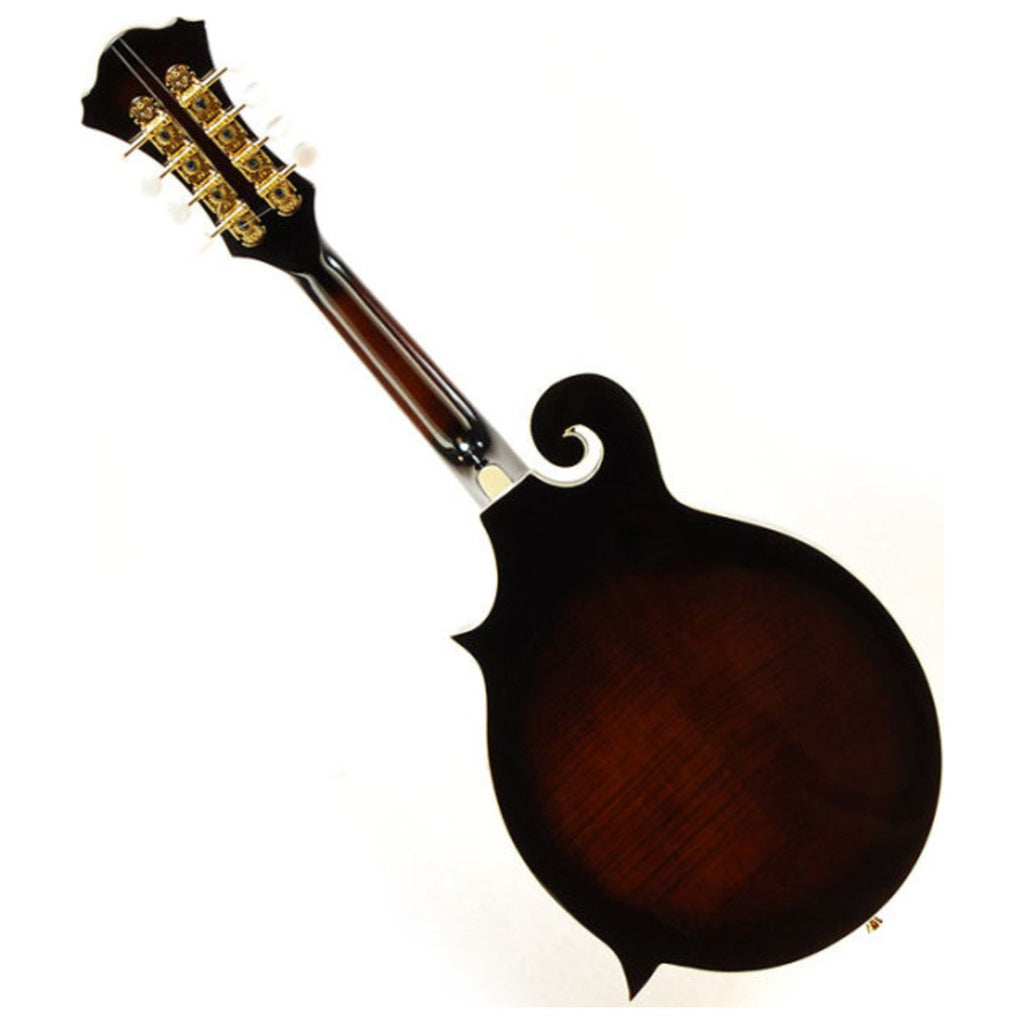 Dark Violin Sunburst Gloss Electric Guitar Q9098