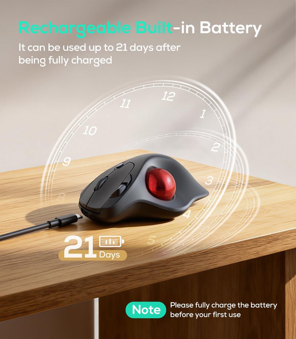 Wireless Ergonomic Trackball Mouse Z23341