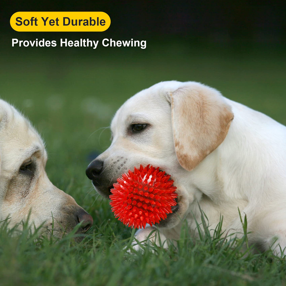 Squeaky Dog Toy Balls BPA Free Non-Toxic T807014