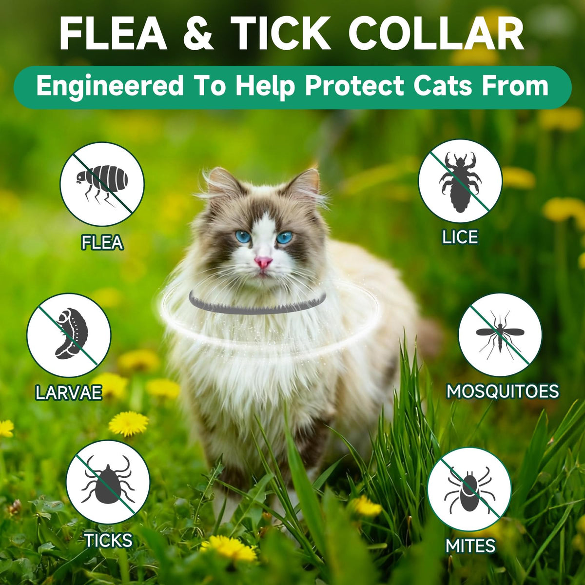 Grey 4-Pack Cat Flea and Tick Collar J3898