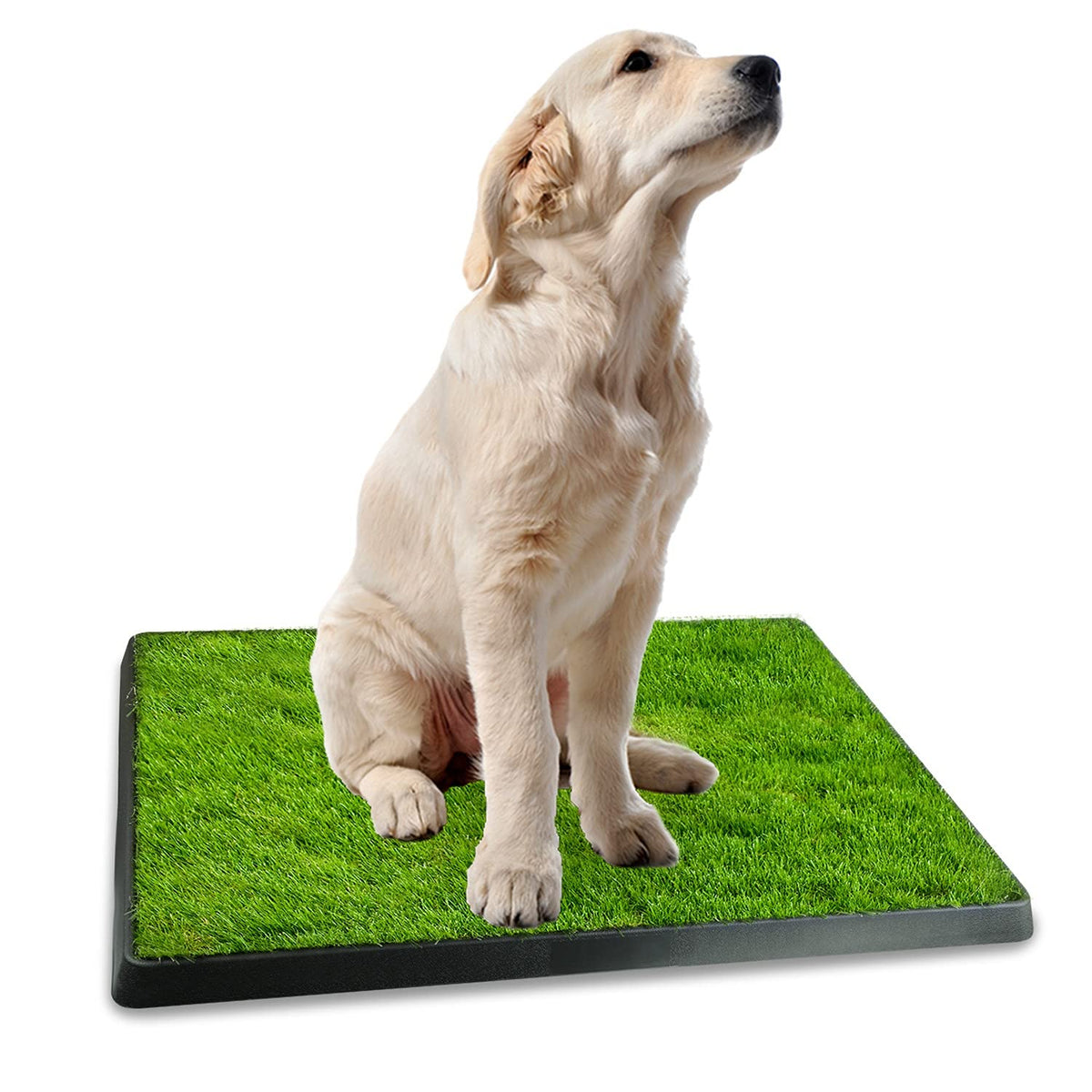 Indoor Dog Toilet with Artificial Grass 25" x 20" V1307
