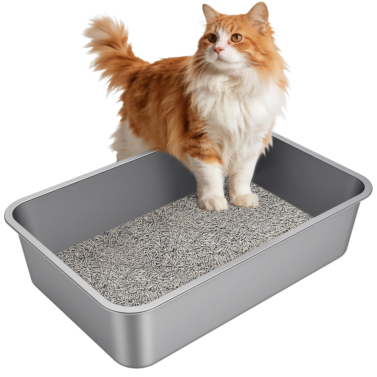X-Large High Sided Stainless Steel Cat Litter Box O518