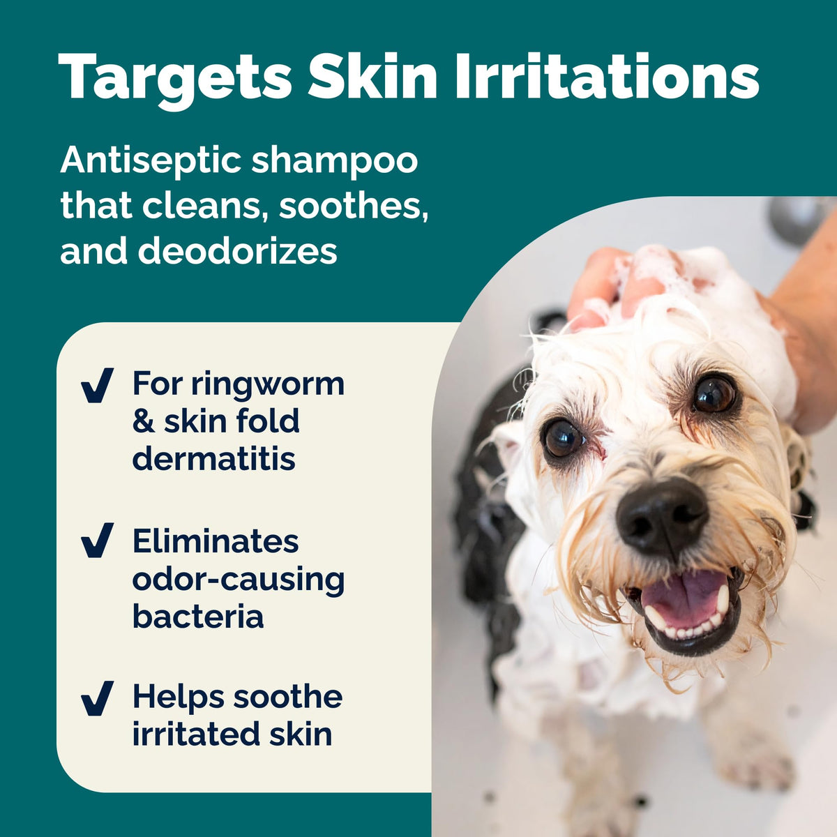 Medicated Cat & Dog Shampoo S56429