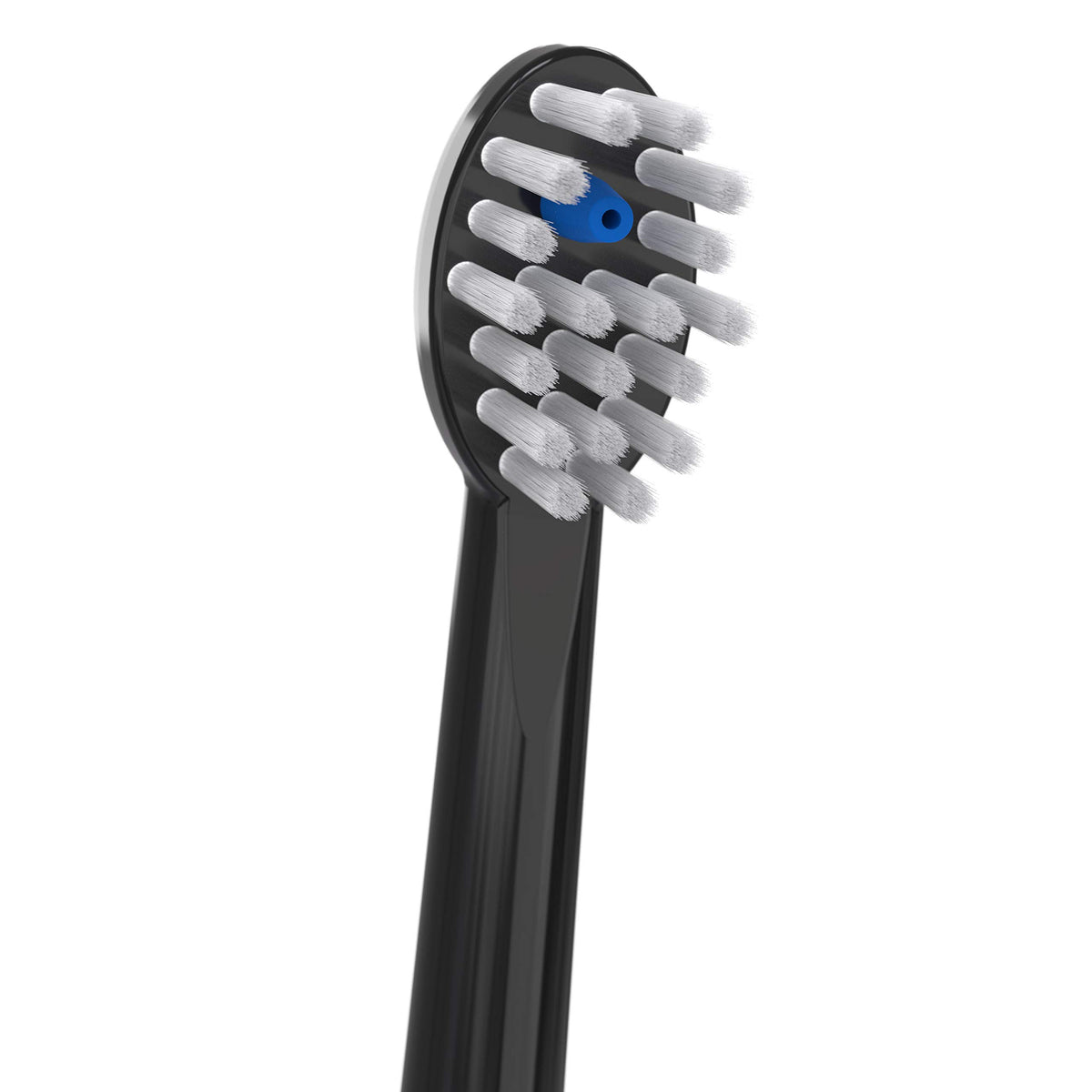 Black Replacement Brush Heads, 2 Count I238096