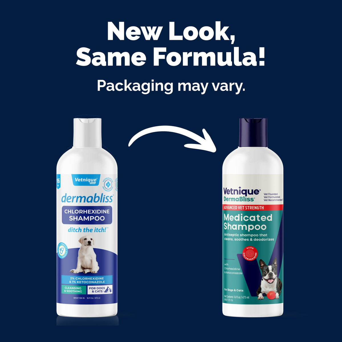 Medicated Cat & Dog Shampoo S56429