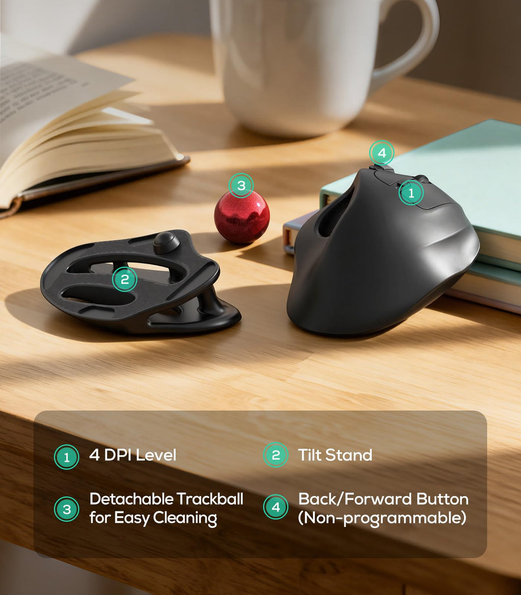 Wireless Ergonomic Trackball Mouse Z23341