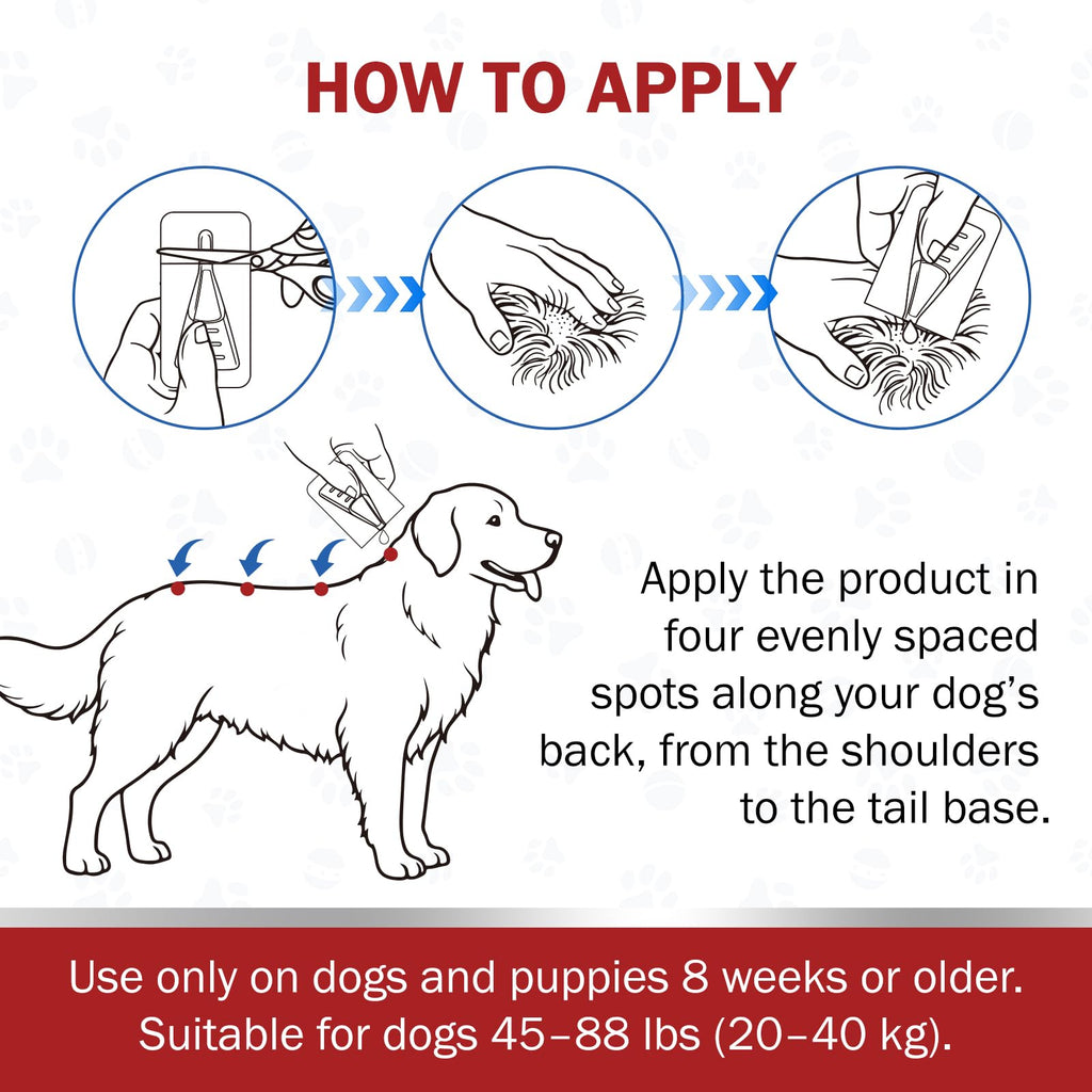 Large Dog Flea and Tick Prevention 6-Month Supply Q773427