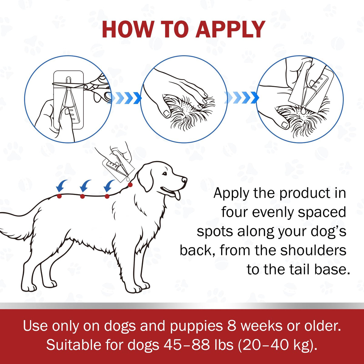 Large Dog Flea and Tick Prevention 6-Month Supply Q773427