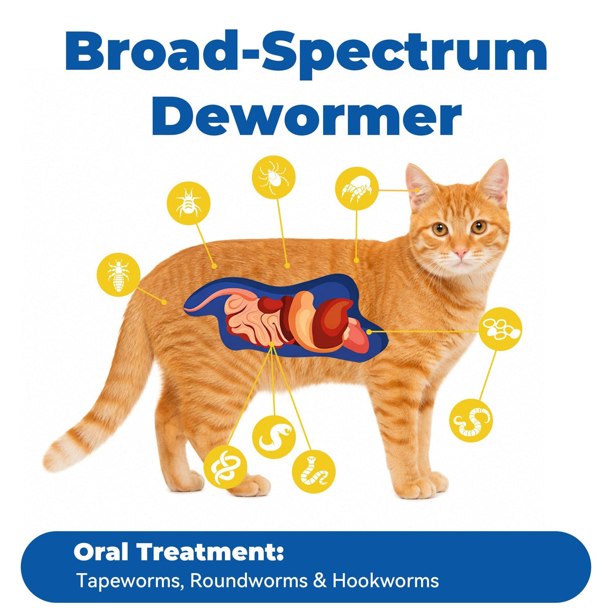 7 Way De-Wormer Chewable Tablets for Dogs & Cats, 50 Count O617