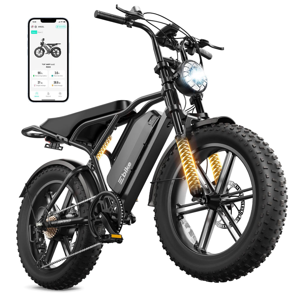 Electric Bike for Adults U448