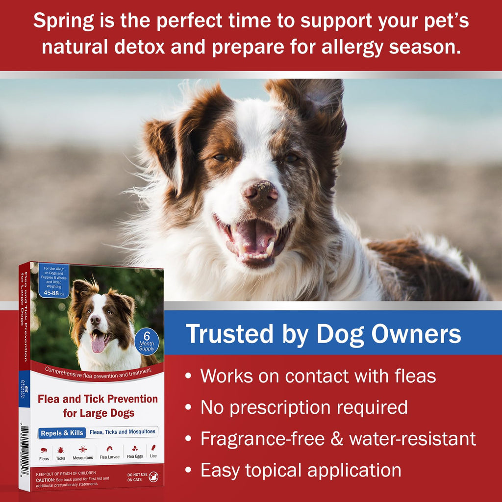 Large Dog Flea and Tick Prevention 6-Month Supply Q773427