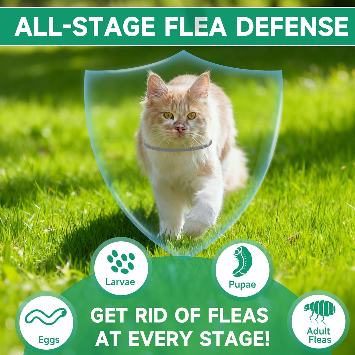 Grey 4-Pack Cat Flea and Tick Collar J3898