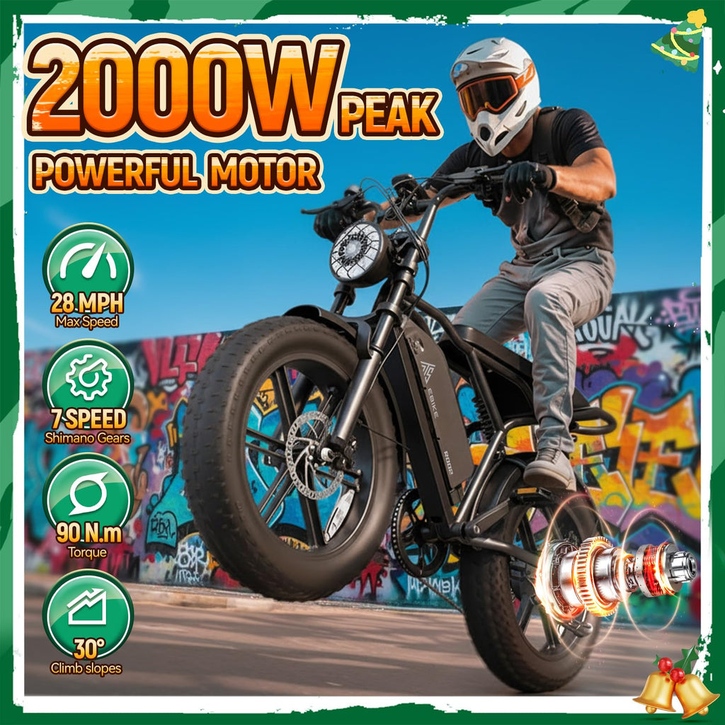 Electric Bike for Adults U448