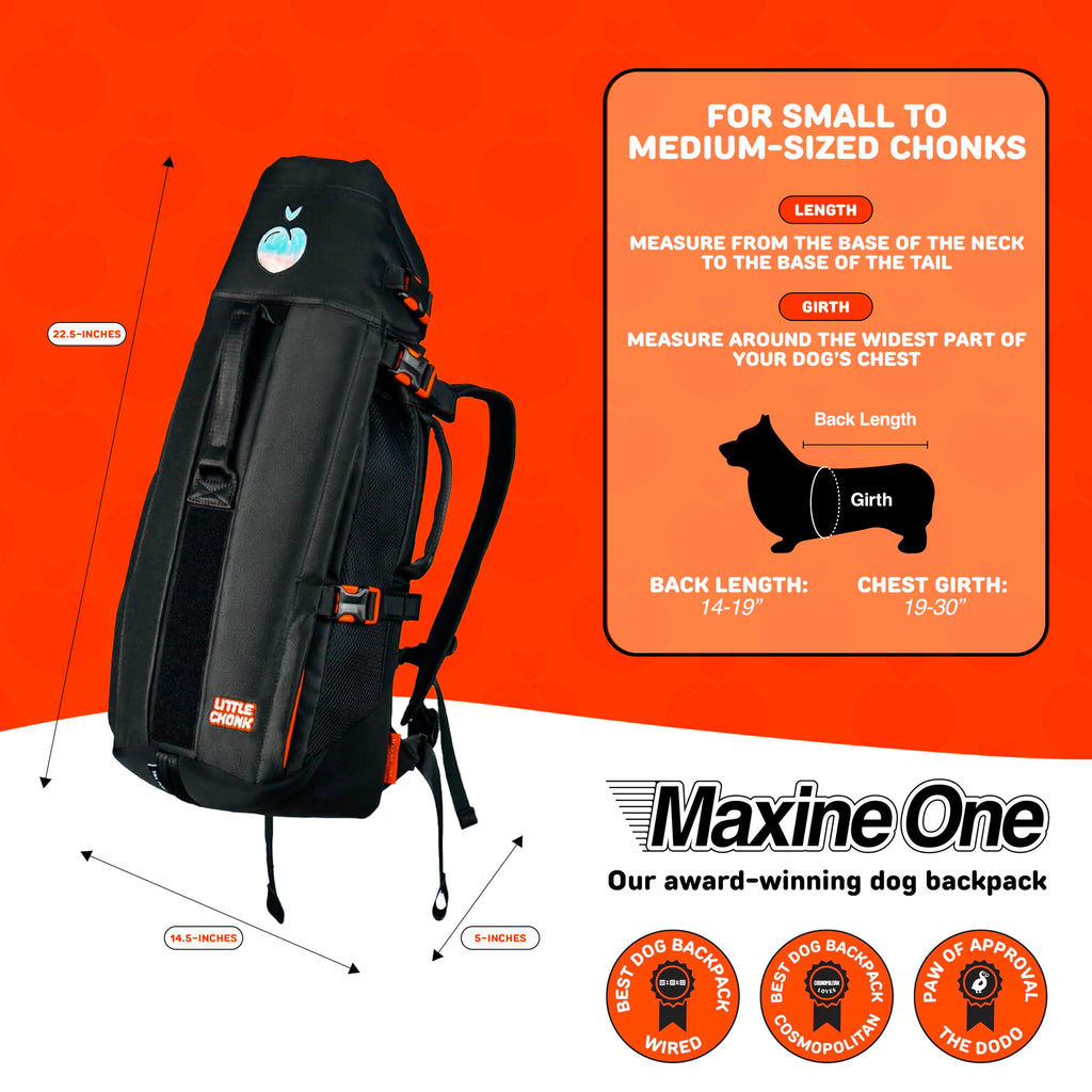 Dog Backpack Carrier L428720