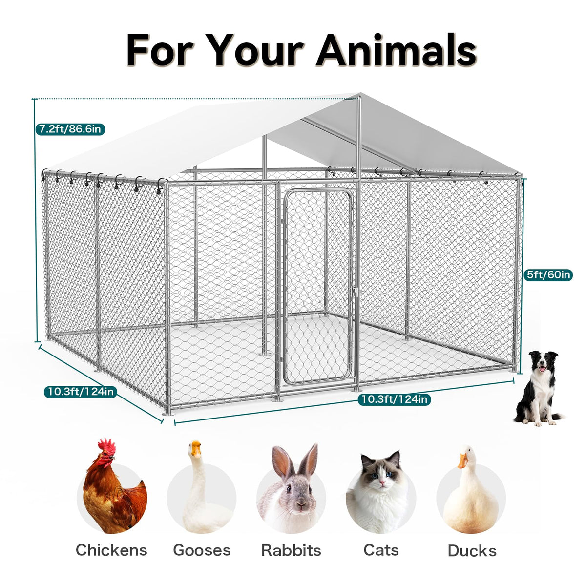 10x10 FT Outdoor Dog Kennel with Roof W794