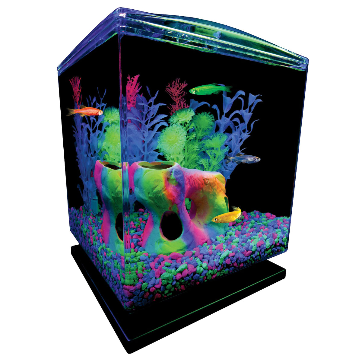 Aquarium Gravel 5 Pounds O996
