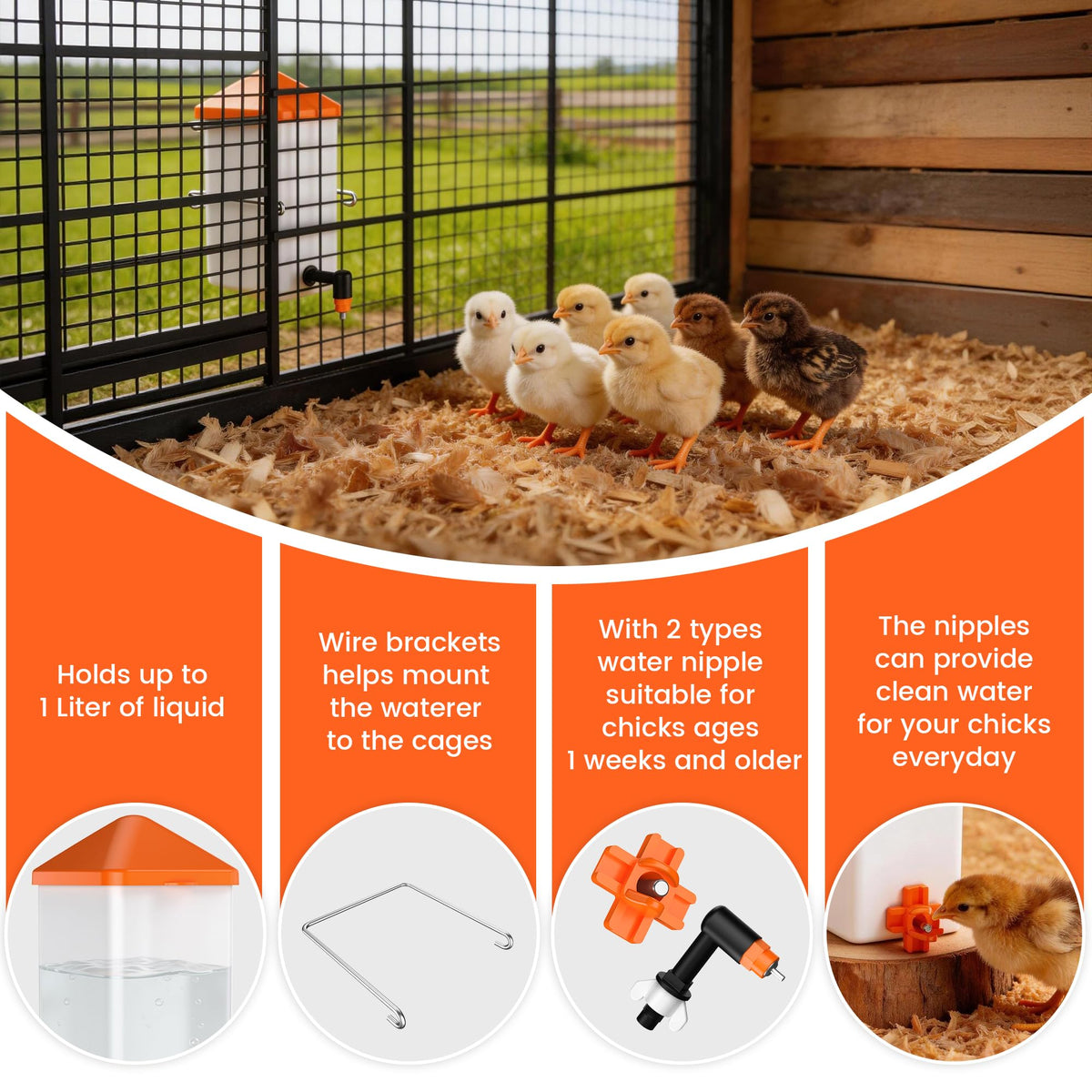 1L Baby Chick Waterer with Nipple Drinker and Anti-Roost Cone Y708