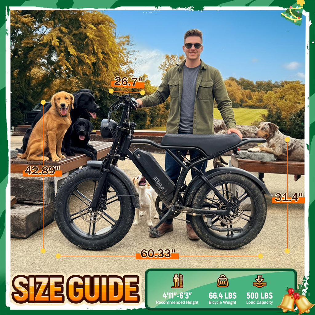 Electric Bike for Adults U448
