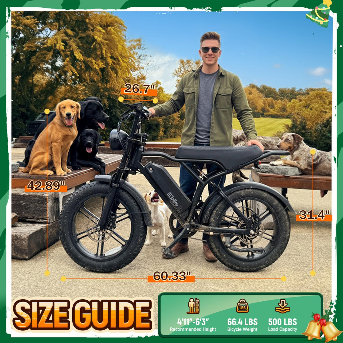 Electric Bike for Adults U448