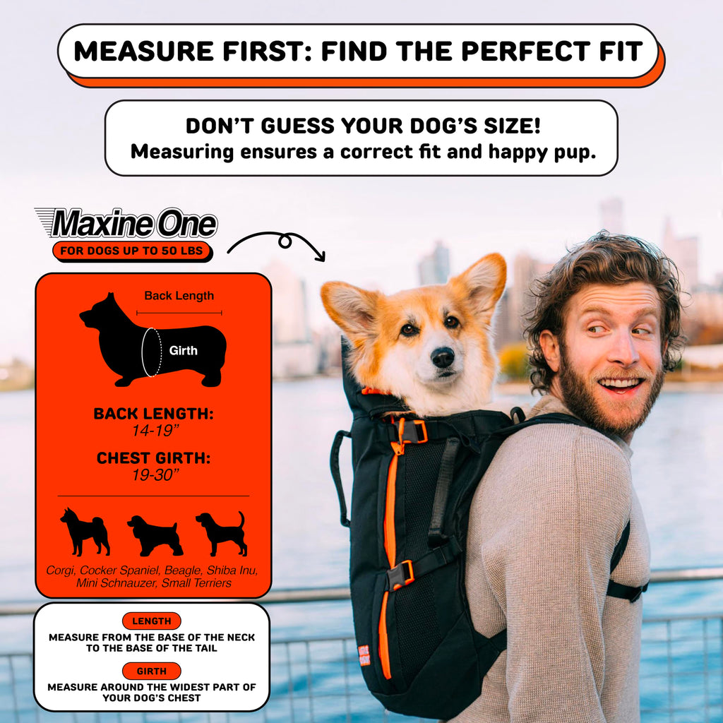 Dog Backpack Carrier L428720