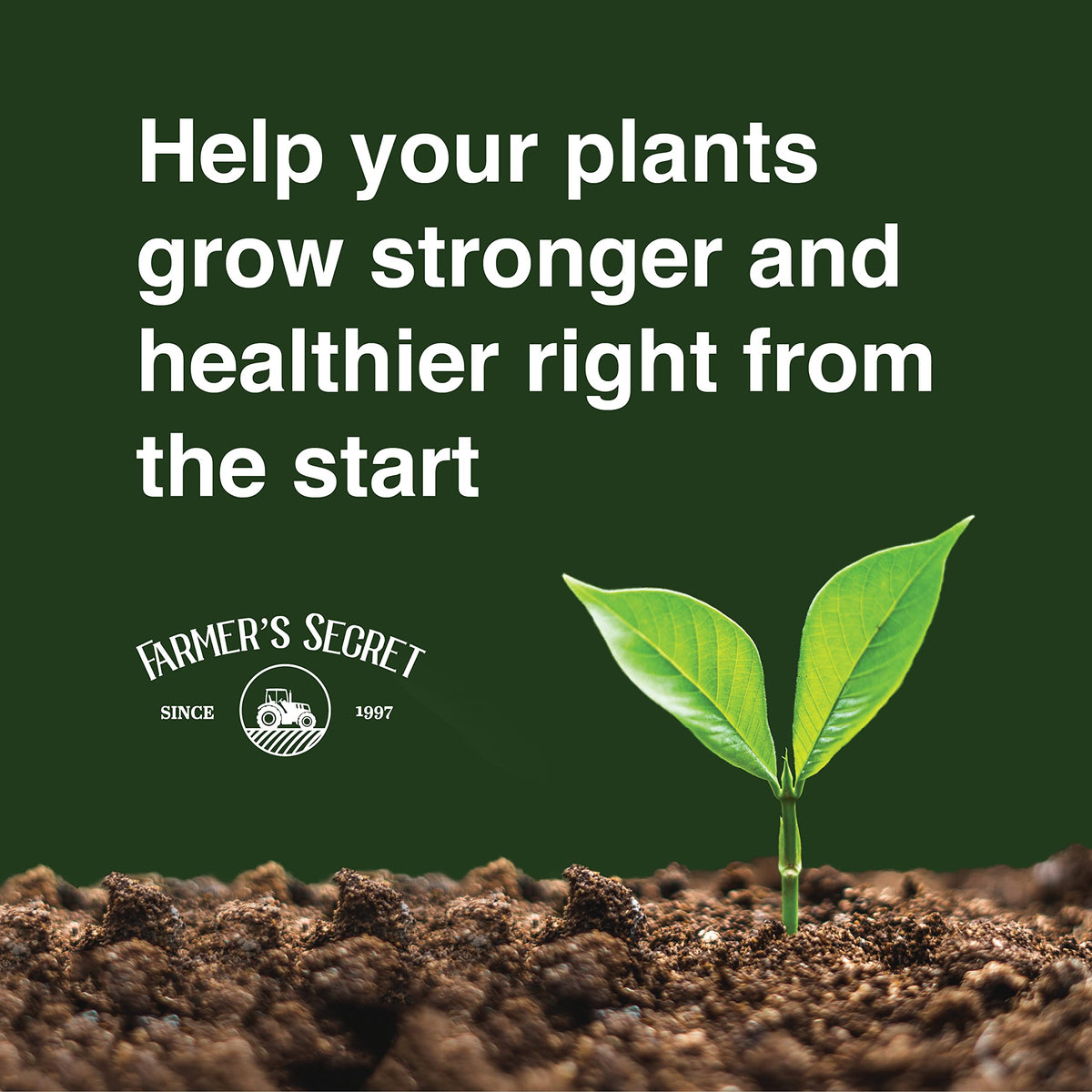 32oz Concentrated High Phosphorus Plant Booster L64680