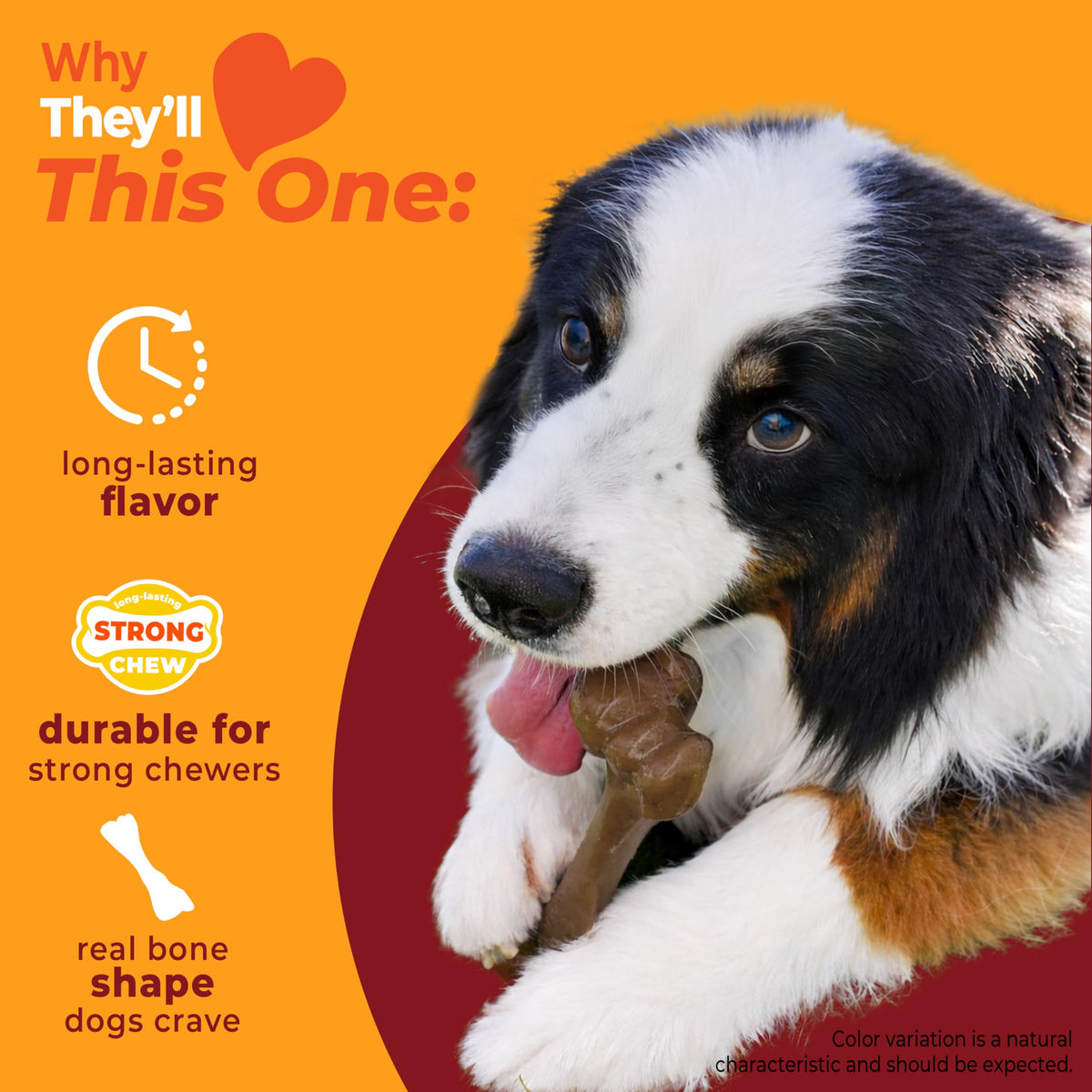 Dog Chew Toy Q33545