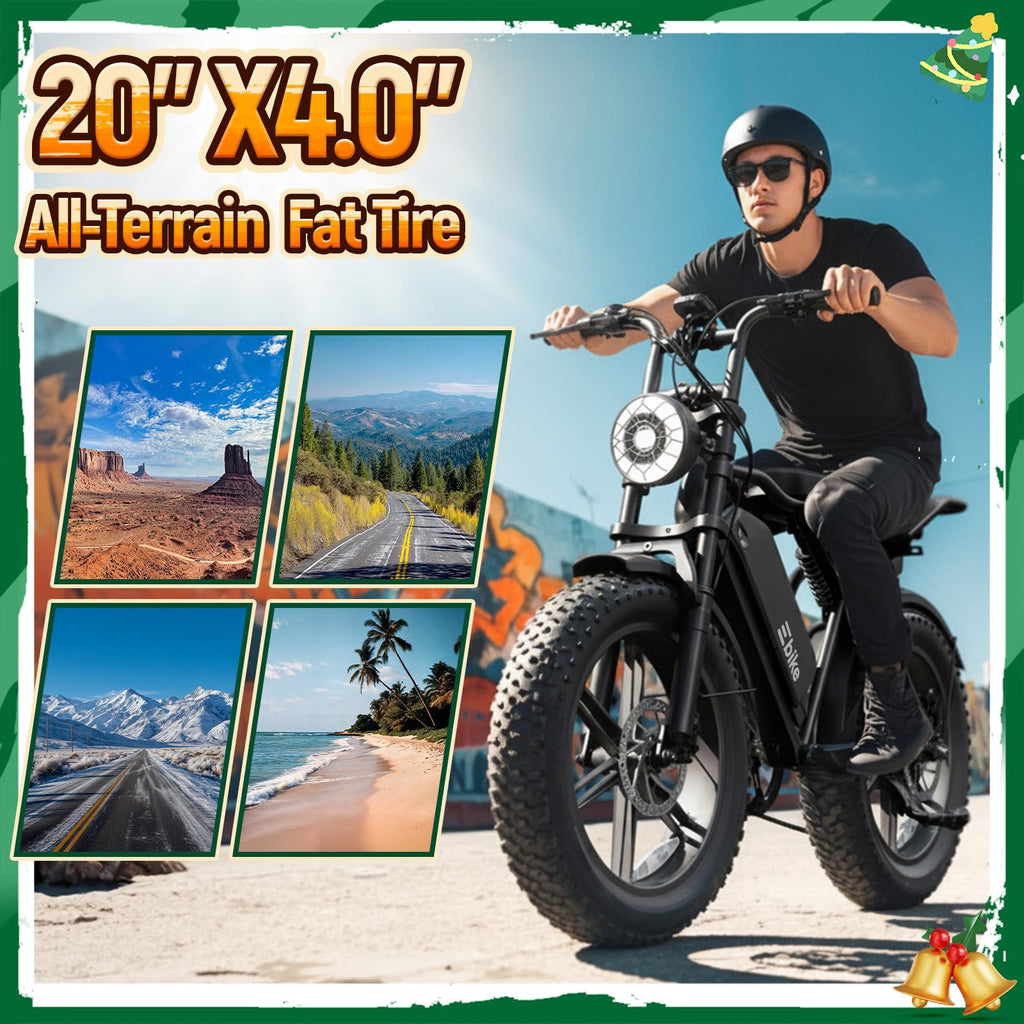 Electric Bike for Adults U448