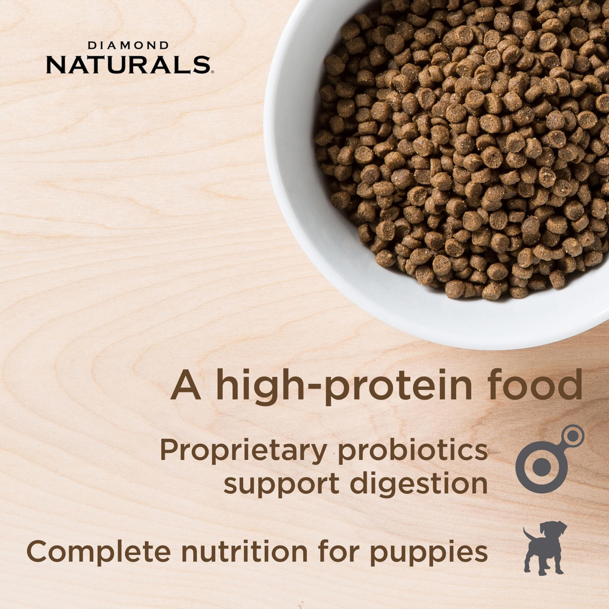 Chicken Puppy Dry Dog Food 6lb R19474